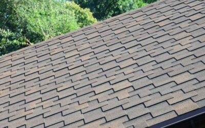 Why Architectural Shingles Are the Real MVP of Roofing